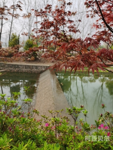 乡村激活情小说免费阅读乡村激活情，一部触动心灵的乡土小说