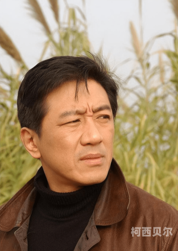 国产A级理论片无码老男人，电影市场的新趋势与观众审美变化