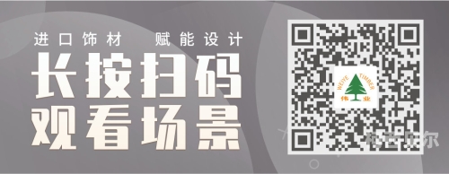 探索安卓版的无限可能，从基础操作到高级应用