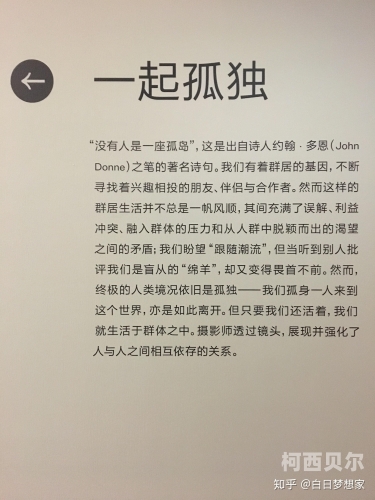 91启示录，从数字到智慧的跨越910c芯片