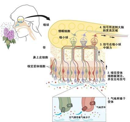 性久久久久久，探讨性健康与性教育的深远影响今天高清视频在线观看