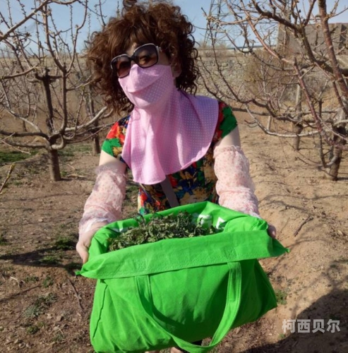 探索人妻系列久久五月现象，背后的社会心理与文化解读五月人倍