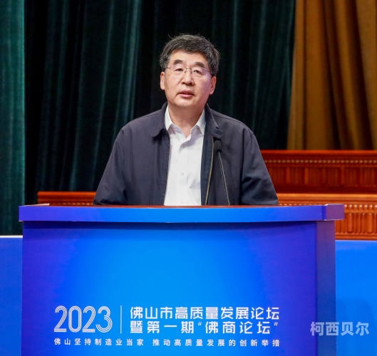 亚洲精品国产91亚洲精品国产91，探索中国制造业的崛起与未来