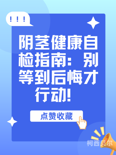 探索揭秘，如何安全有效地促进鸡鸡蛋头增长与增粗