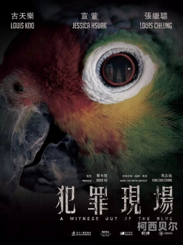 a在线免费观看网站，安全、合法与便捷的观影指南