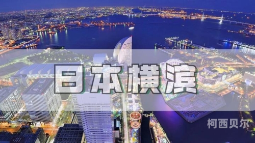 日本免费中文字幕在线视频，探索文化交融的窗口