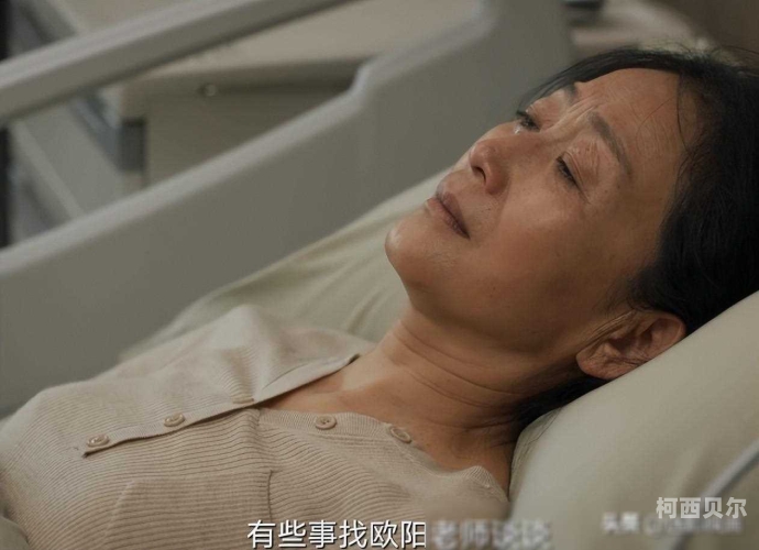 国产真实刺激高潮对白在线观看国产真实刺激高潮对白在线观看，探索影视剧中的情感表达与艺术魅力
