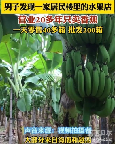 香蕉免费一区二区三区在，探索香蕉产业的未来与发展香蕉免费一区二区三区在线观看视频