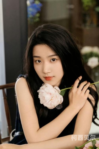 亚洲欧美日韩久久精品第一区亚洲欧美日韩久久精品第一区，全球影视文化的交汇点