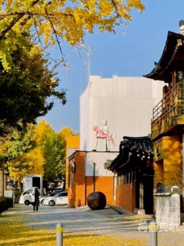 韩国、欧美、日本、亚洲一区二区，全球文化交融与区域特色解析