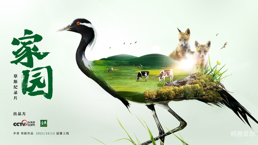 人与动人物a级毛片中文播放人与动物和谐共处，探索A级纪录片人与自然中文播放的深远意义