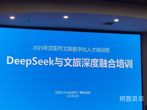 大型网游，数字时代的游戏新篇章2025期待的大型网游