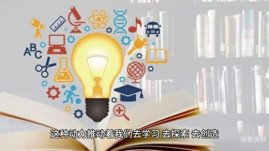 探索无码精品日韩专区久久的魅力与影响