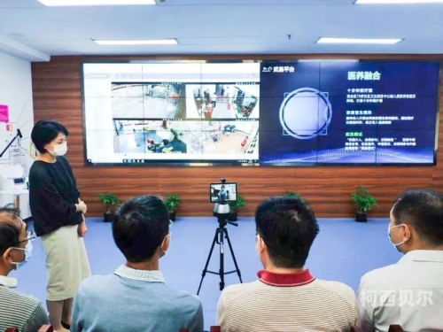 国产一级A厂片在线观看，现状、挑战与未来展望
