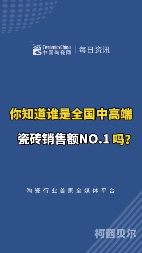 亚洲第一视频在线观看播放平台，全面解析与使用指南亚洲第一视频 rmvb 下载