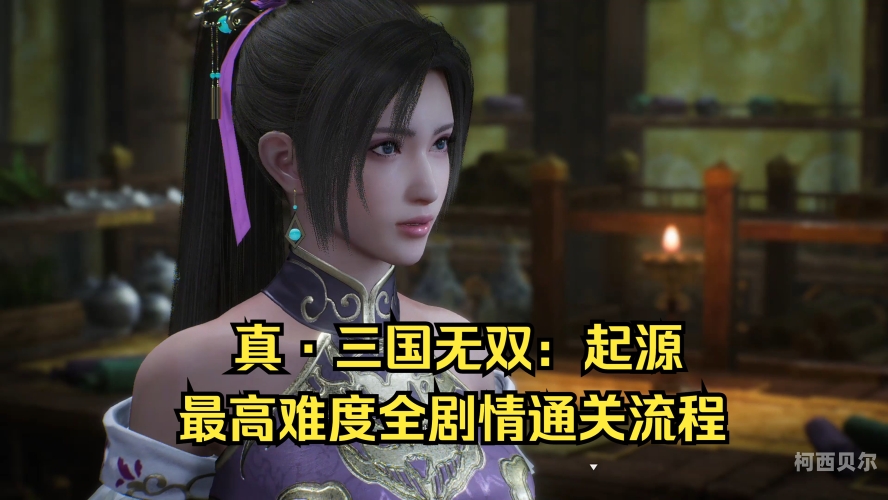 深入解析，中文单机版游戏的发展历程、现状与未来展望真三国无双4下载中文版单机版