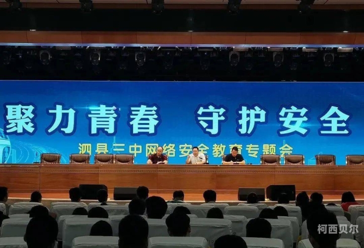 欧洲专区无码在线观看，法律、道德与网络安全的探讨