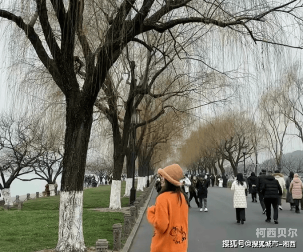 婷婷综合视频婷婷综合视频，全方位解析与深度体验