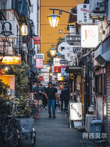 日本高清午夜色日本高清午夜色的魅力与影响，探索深夜文化的独特之处