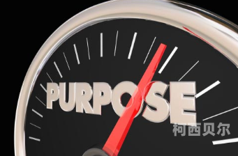 Purpose，探寻人生之旅的灯塔purpose英语