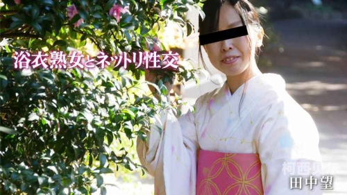 Heyzo一本久久综合无码，深度解析与用户指南