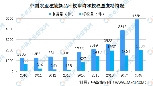 国产有码在线播放视频，现状、趋势与用户需求分析国产有吗