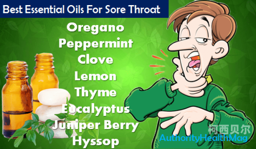 Essential Oils: Your Comprehensive Guide (2023)
