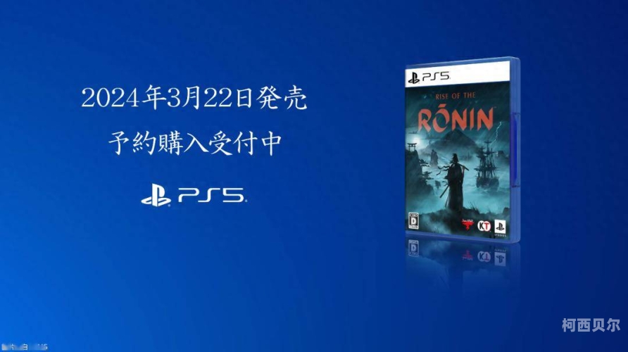 国产网友精品在线观看国产网友精品在线观看，探索中国网络影视的崛起与未来