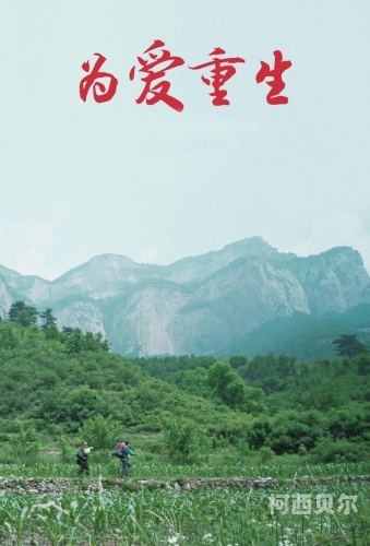 亚洲午夜电影，探索深夜银幕的独特魅力与文化影响无敌神马影视影院在线