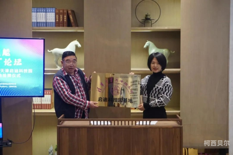 基地，战略与历史的交汇点基地疑云