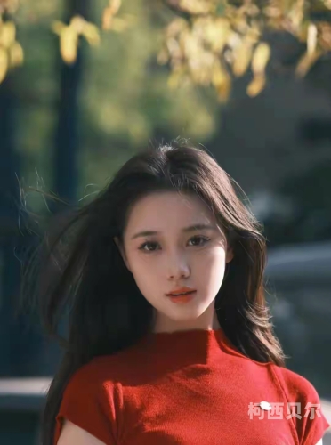 精品少妇一区二精品少妇一区二，探索现代女性的独立与魅力