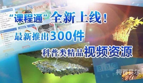 九九热线有精品视频20九九热线精品视频20，深度解析与用户指南