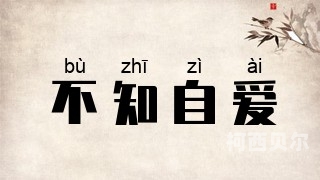 国产性自爱拍偷在拍线国产性自爱拍偷在拍线，网络隐私与道德底线的双重挑战