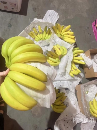 国产精品特级AAAAAAA国产精品特级AAAAAAA，品质与创新的完美结合