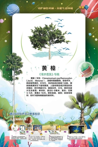 狠狠色丁香九九婷婷综合，探索植物世界的多样性与美丽
