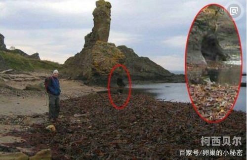 综合色天天鬼久久鬼色探索综合色天天鬼久久鬼色背后的文化现象与网络流行趋势