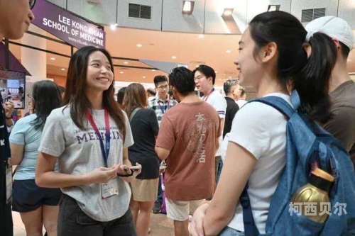 久久精品一品道久久精品网站，探索高品质数字内容的无限可能