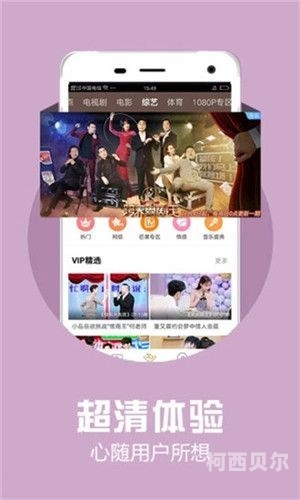 国产三级午夜福利A区，探索中国电影市场的多元化发展