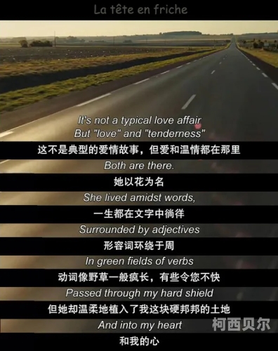 最新中文字幕3，热门影视剧集与电影的中文翻译趋势分析