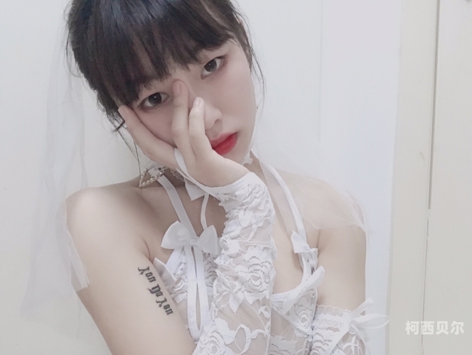 91精品免费久久久久久久久，探索优质资源的无限可能