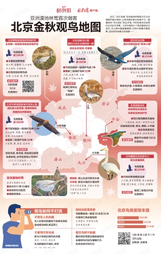 亚洲AV蜜桃秘 无码一区二区亚洲AV蜜桃秘，无码一区二区的文化现象与市场分析