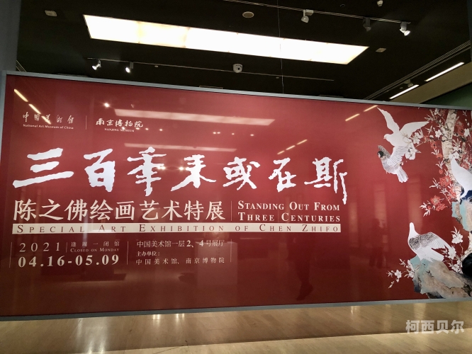 在线国产久在线国产久，探索中国影视产业的崛起与未来