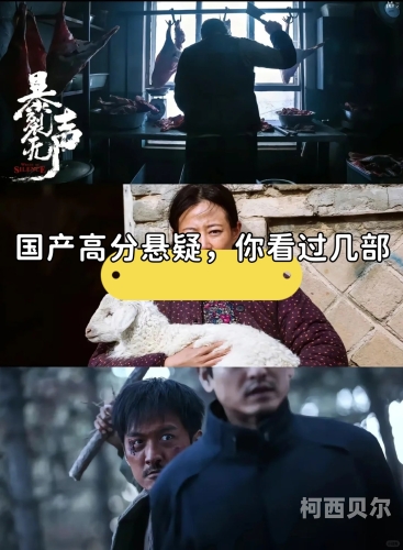国产另类视频一区二区，探索中国独立电影的独特魅力