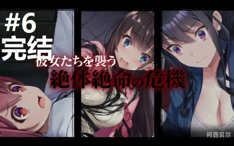 探索中文无码AV制服字幕DVD，市场现状与文化影响