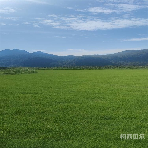 久久青草免费精品无码百度搜索热门文章，久久青草免费精品无码