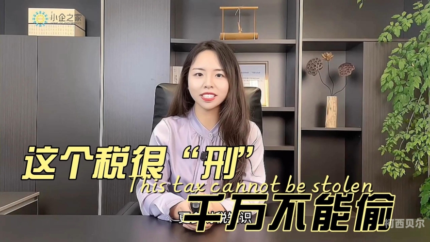 国产网友愉拍精品国产网友精品购物狂欢节，网友们的热烈互动与购销盛况