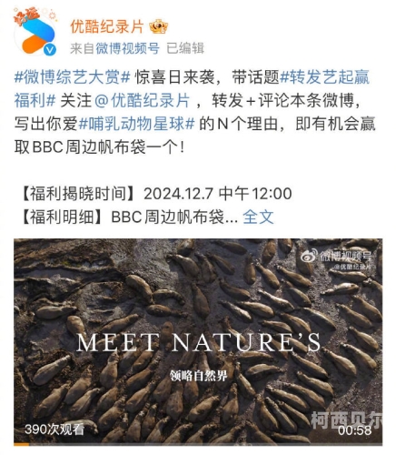 国产福利在线人成观看国产福利盛宴，在线观看火热进行中