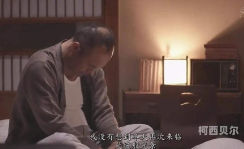 亚洲曰本av电影亚洲热门日本AV电影，探索背后的文化与娱乐现象