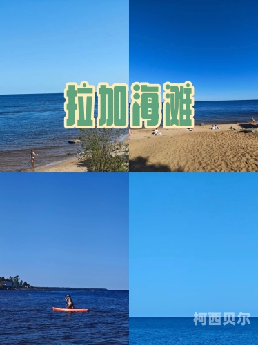 国产www亚洲а∨天堂国产神秘文化盛宴，探索亚洲文化中的天堂——www亚洲а∨天堂