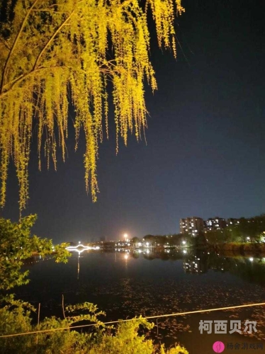 久久夜色精品国产国产精品之夜，久久夜色的璀璨篇章